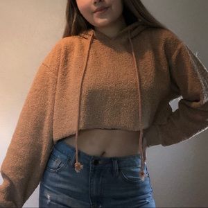 Fuzzy Teddy Cropped Hoodie
